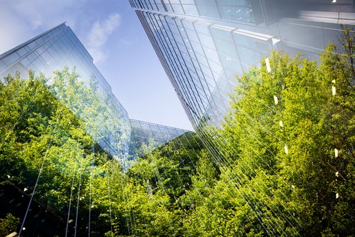 Hohe Bürogebäude mit Glasfassade. Unten stehen Bäume mit grünem Laub. Das Laub spiegelt sich in den Glasfassaden.